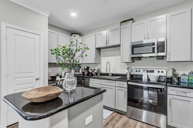 Modern Kitchen & Appliances - Sorrento at Tuscan Lakes
