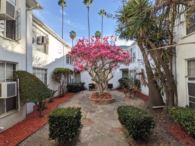 Garden - 7677 Hollywood Blvd