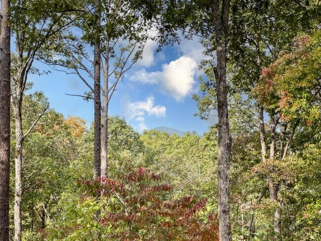 Foto del edificio - 111 Watkins Farm Rd