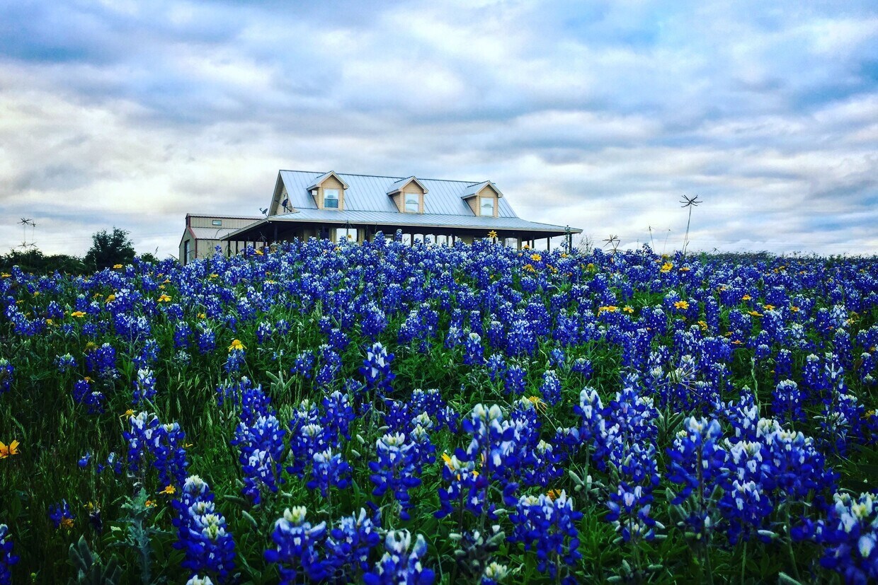 3600 Lakeview Dr, Cottonwood Shores, TX 78657 House Rental in