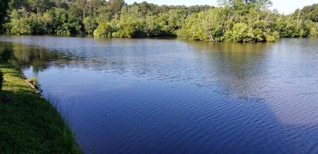 Building Photo - 128 Island Blvd