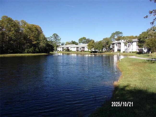 Building Photo - 2-Bed, 2-Bath Condo Retreat in Serene Tarpon Springs Oasis!