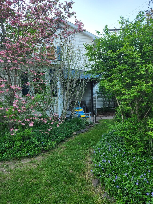 Backyard oasis - 18 Academy Ave