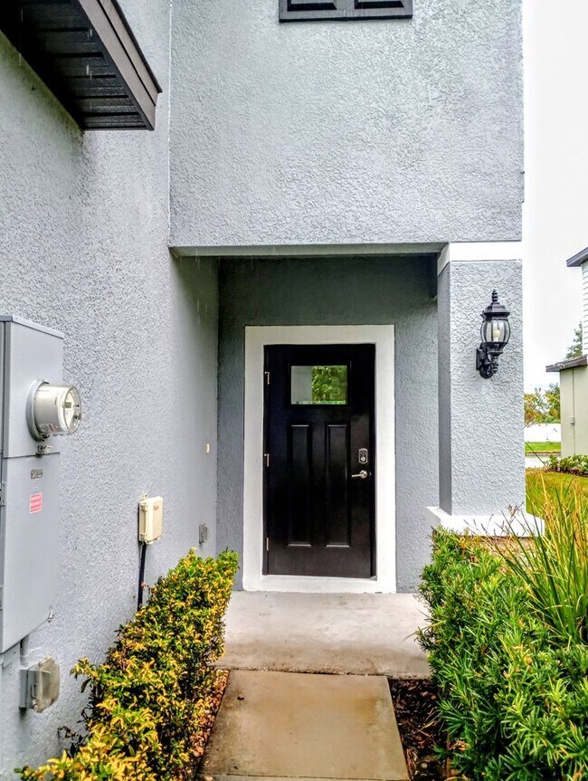 Foto del edificio - Townhouse in Land O' Lakes - The Townes at Lake Thomas