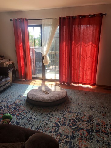 Foto del edificio - 1113 N Windsor Ave