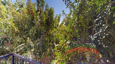 Interior Photo - Verano at Rancho Cucamonga Town Square