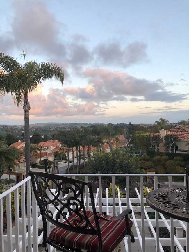 View from bedroom balcony - 29502 Port Royal Way
