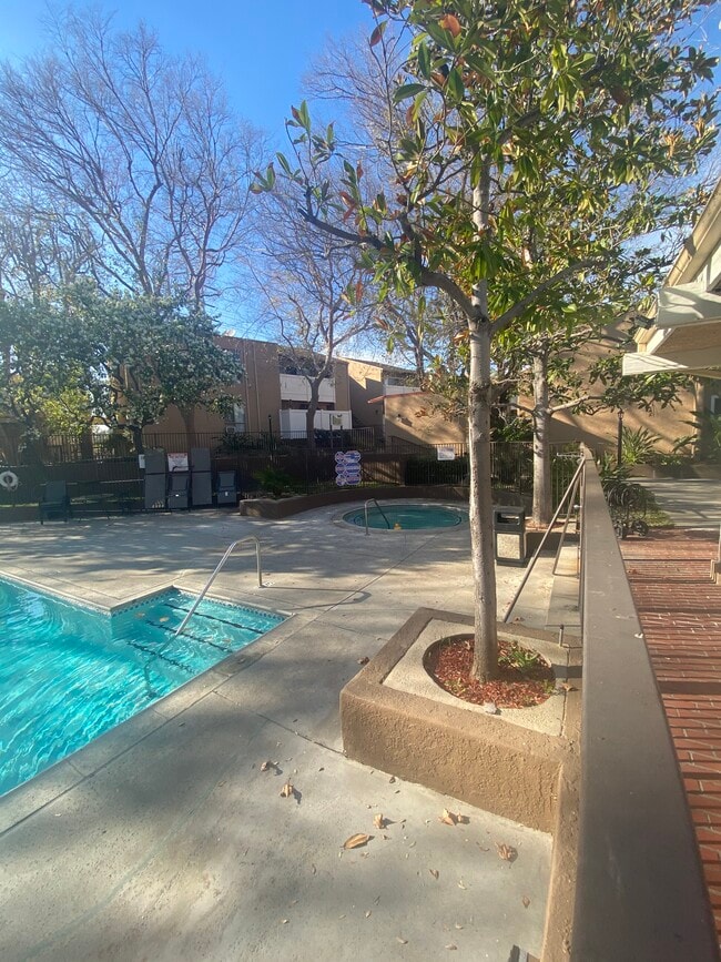 Community Pool and Spa - 10331 Lindley Ave