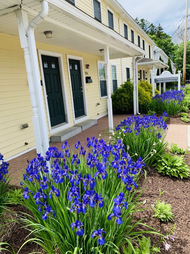 Beautiful spring flowers - 208 N Main St