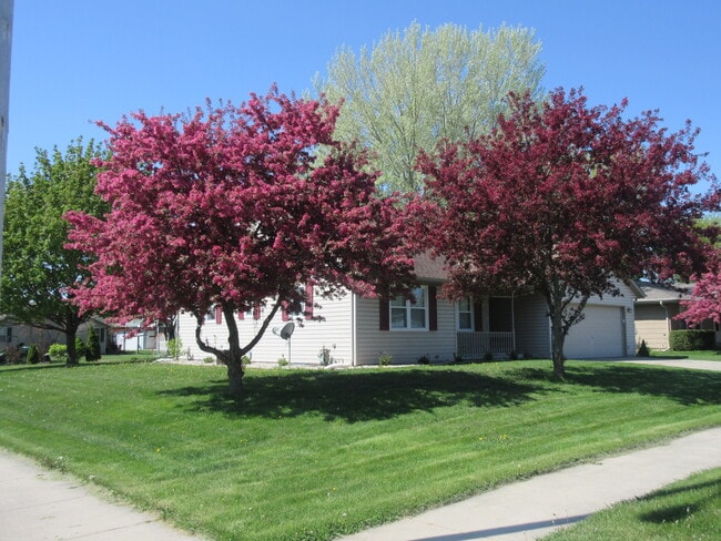 Building Photo - 409 Knights Ave