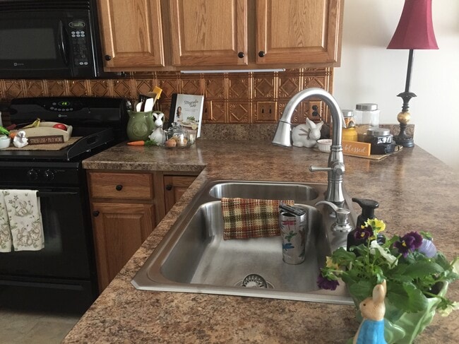 Sink in peninsula facing living room and back yard - 121 Touchstone Dr