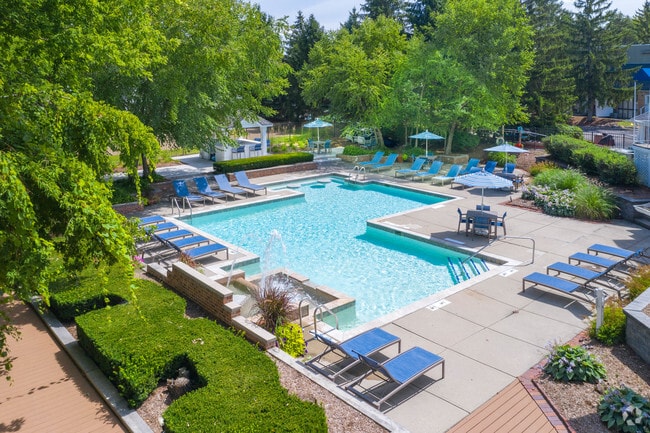 Pool - The Heights