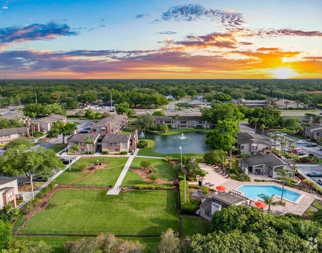 Buckingham at Carrollwood Village Apartments for Rent Tampa, FL 14 Rentals