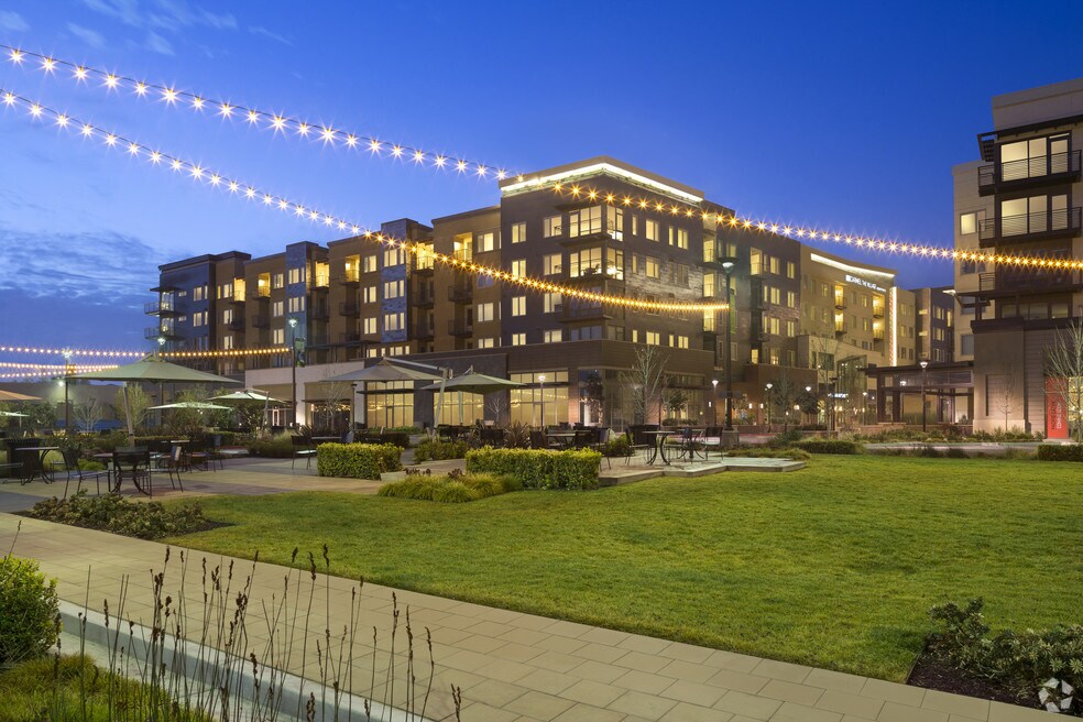 1 Bedroom Apartments for Rent in Mountain View CA