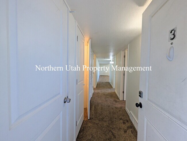 Foto del edificio - 2 Bed, 1 Bath Lower Unit