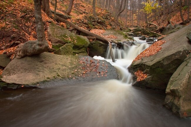 Grindstone Creek in Burlington.