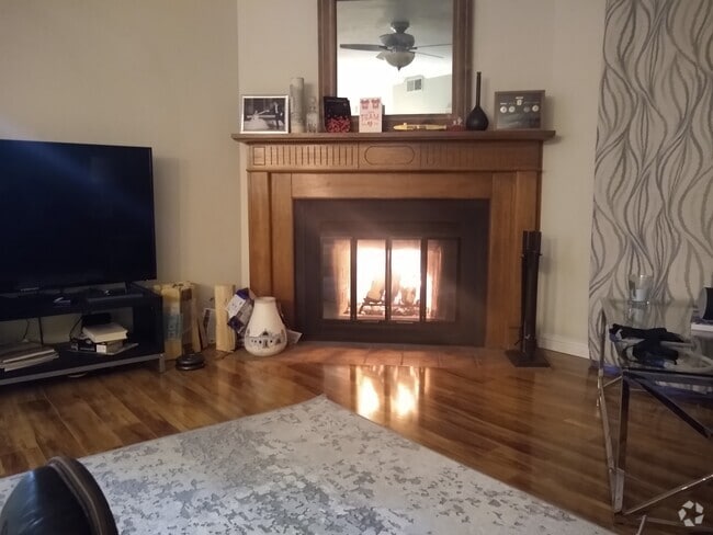 Fireplace in living room - 505 Oppenheimer Dr