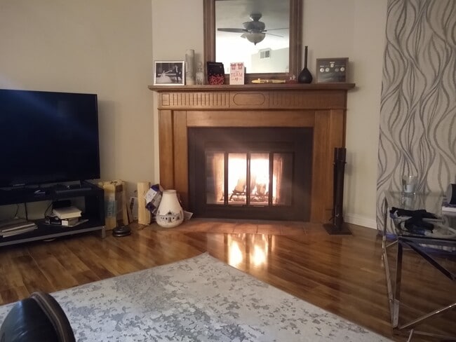 Fireplace in living room - 505 Oppenheimer Dr