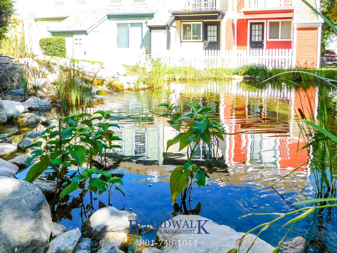 Primary Photo - Charming 1-Bedroom Gem