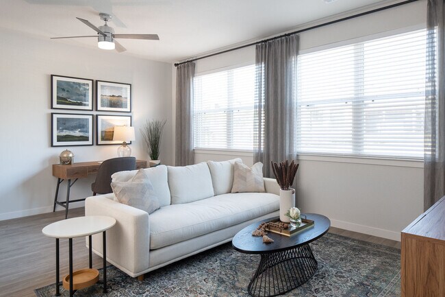 Apartamentos Prose Westover Hills — foto de la comunidad - Prose Westover Hills