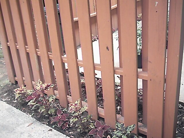 Foto del edificio - 1692 Temple Ave