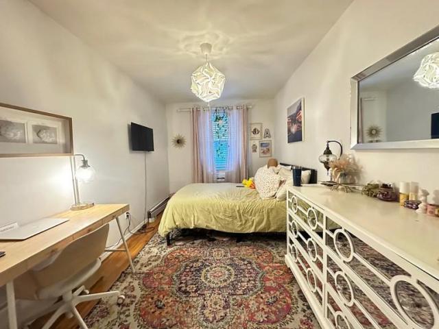 Foto del edificio - 2 bedroom in Brooklyn NY 11211