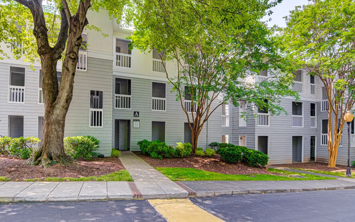 Primary Photo - 209 Oakwood Ct