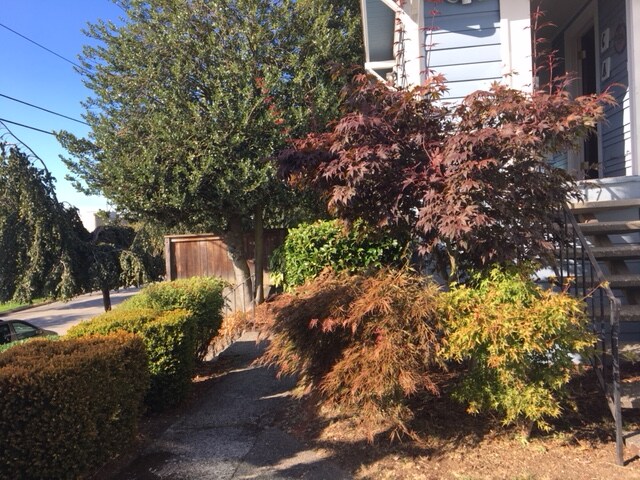 Building Photo - 2028 14th Ave W