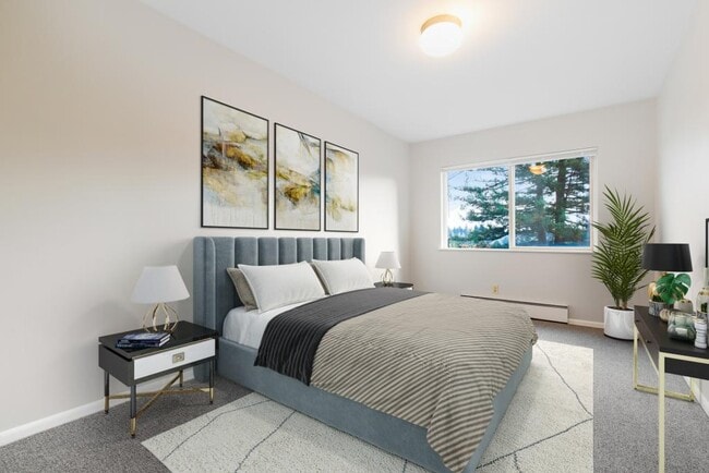 Building Photo - MT Apartments - 1 bedroom