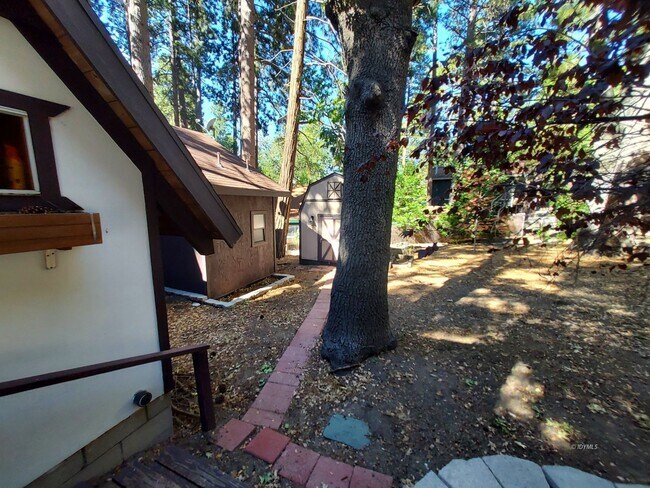 Building Photo - Vaulted Ceiling Cabin for rent