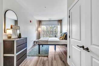Interior Photo - Olive & Wooster