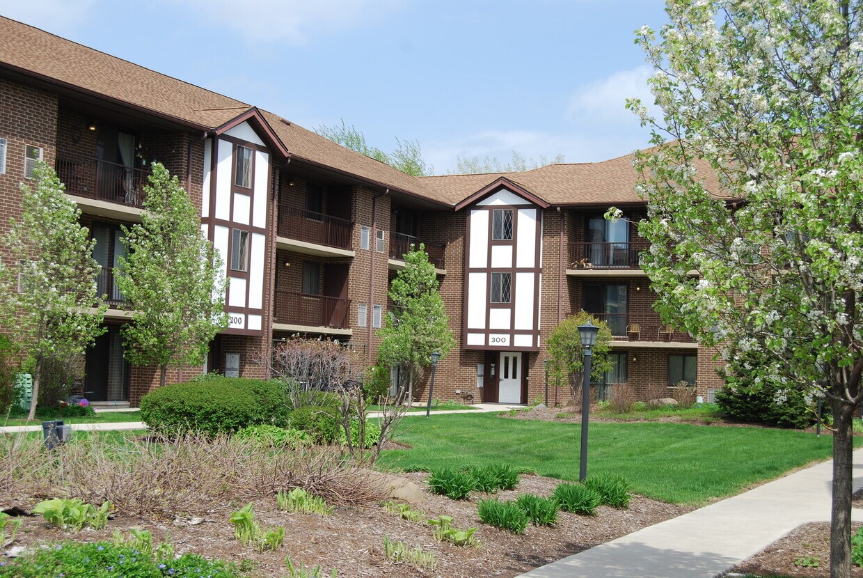 915 N York St Unit 205, Elmhurst, IL 60126 Condo for Rent in Elmhurst