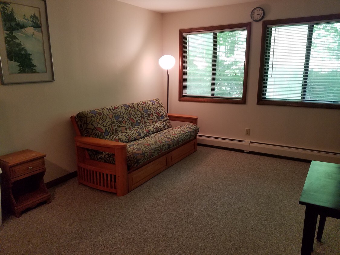 19 Overbrook Dr Unit 1, Killington, VT 05751 Apartments in Killington