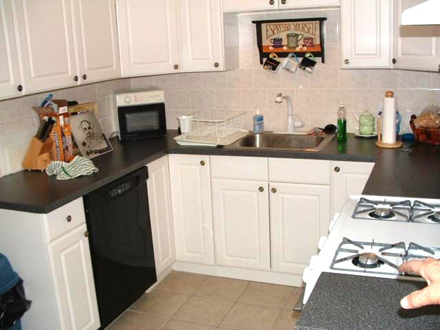 Building Photo - 66 Egmont St