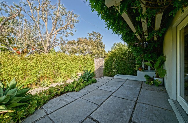 View from French Doors - 3555 Beethoven St