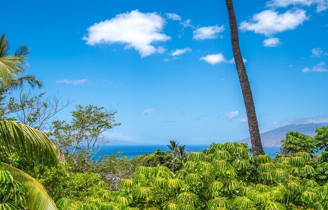 Foto del edificio - Unfurnished 3 Bed/2 Bath Beautiful Maui Me...