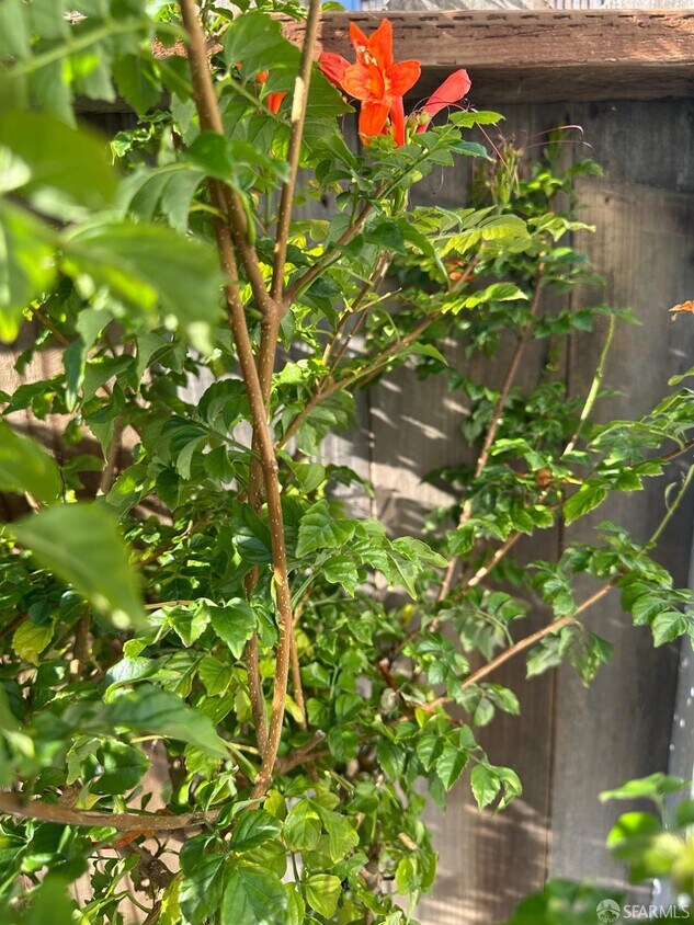 Building Photo - 480 Monterey St