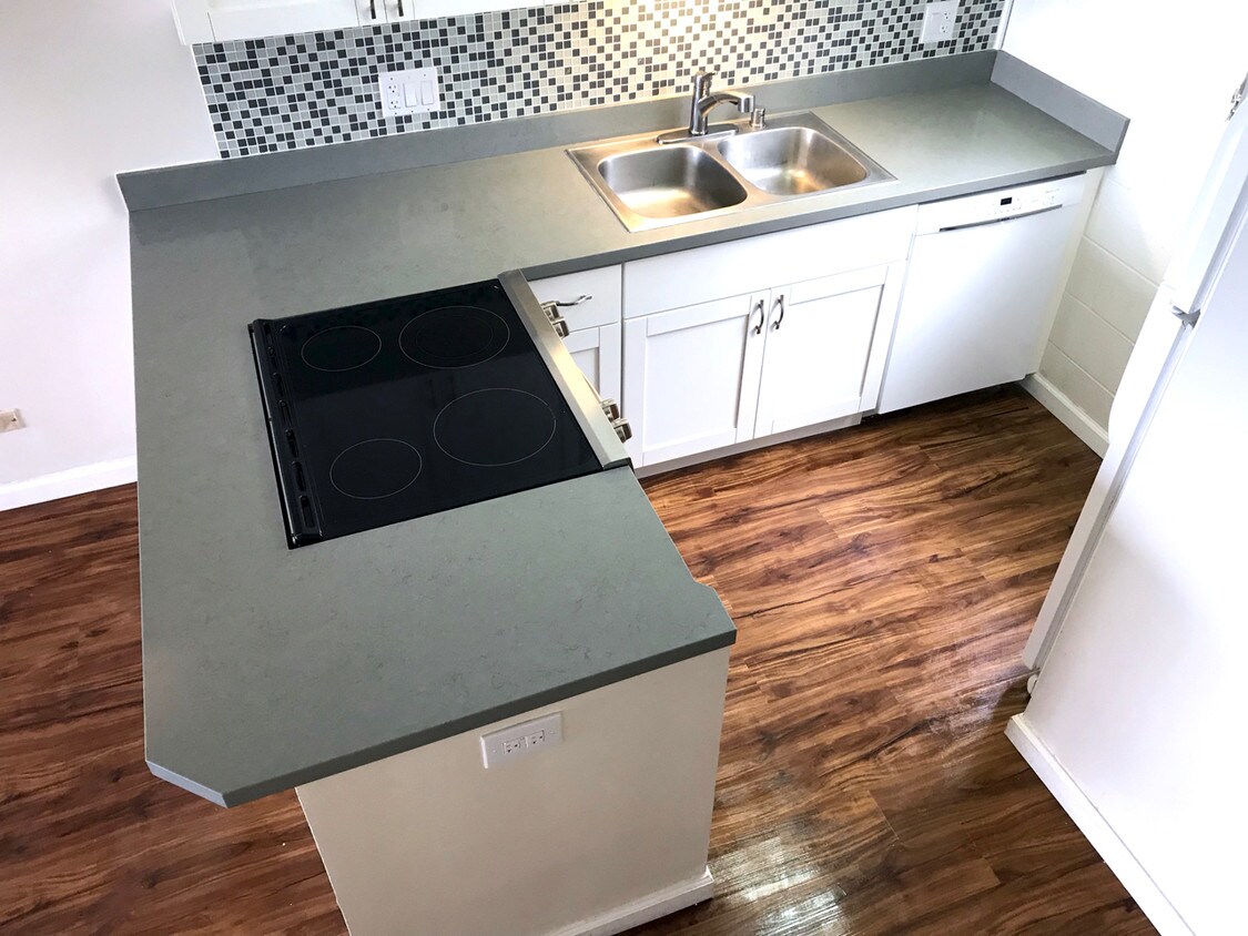 Brand New Kitchen! Quartz countertops, all ne - 46-270 Kahuhipa St