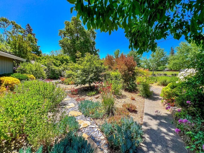 Foto del edificio - Charming Four Bedroom Home in Napa's Sough...