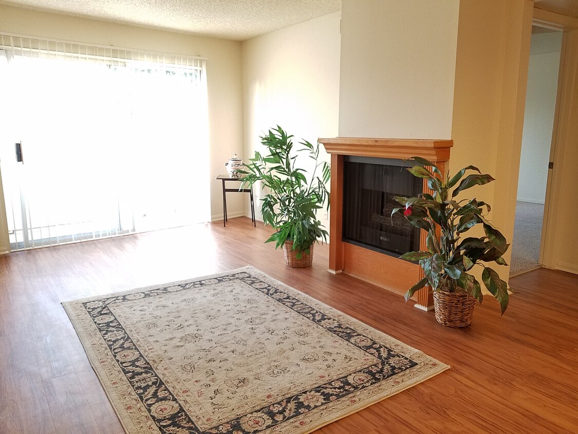 Living room - 4184 Arch Dr