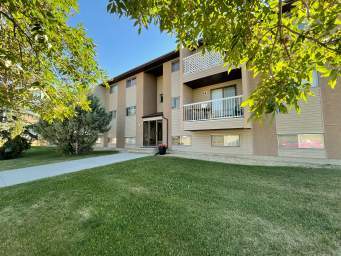 Photo principale - Pinecrest Apartments