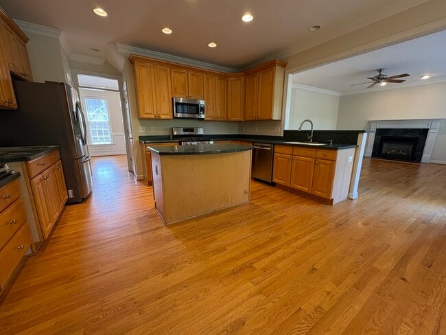Building Photo - 101 Hogan Ridge Ct