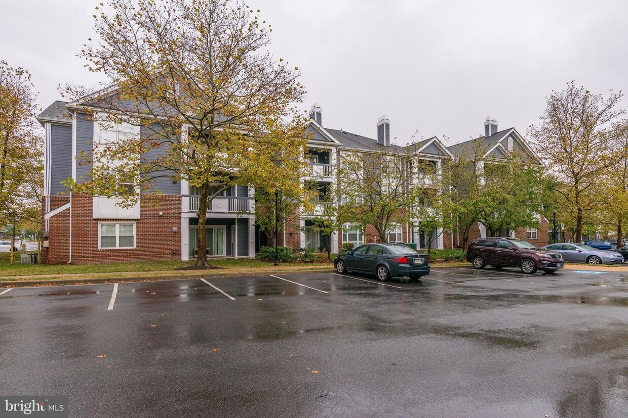 Primary Photo - 20290 Beechwood Terrace