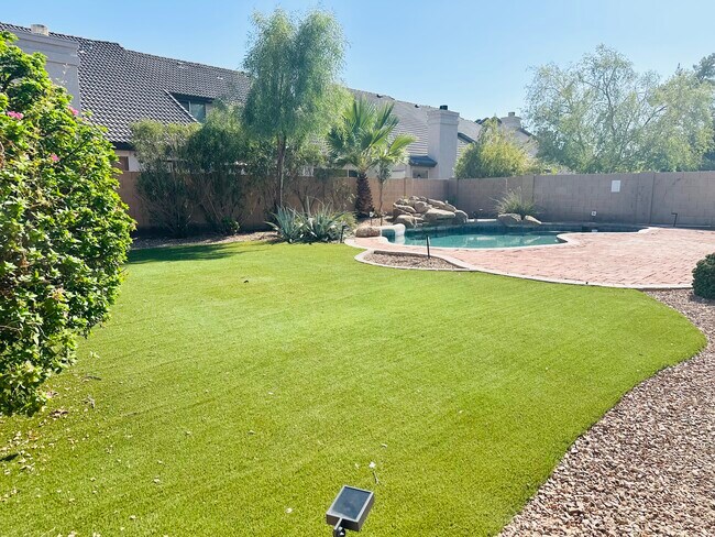 Jardín trasero de bajo mantenimiento con césped artificial, patio pavimentado y piscina privada. - 1177 W Laredo Ave