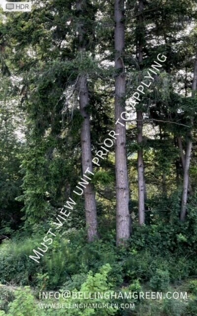 Building Photo - Top Floor Studio Apartment - Lots of Light...