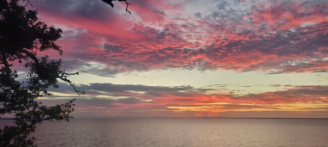 Building Photo - Stylish Condo in Waterfront Bayview Terrace – Updated Interiors, In-Unit Washer/Dryer, Access to ...