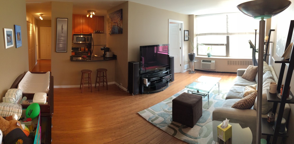 Primary Photo - 1355 N Sandburg Terrace