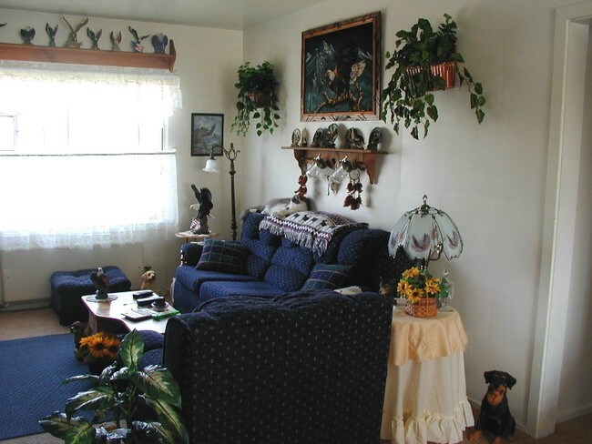 Living room - 1109 E 9th St