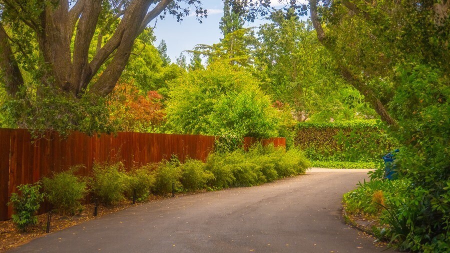 Primary Photo - HEART OF SILICON VALLEY