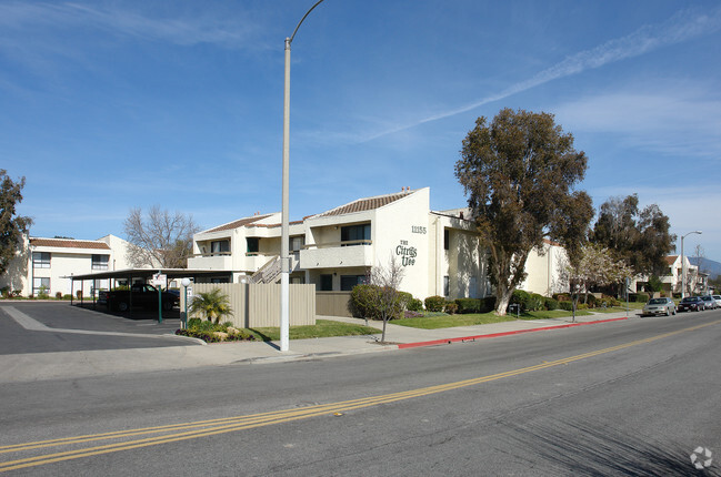 Building Photo - Citrus Tree Apartments